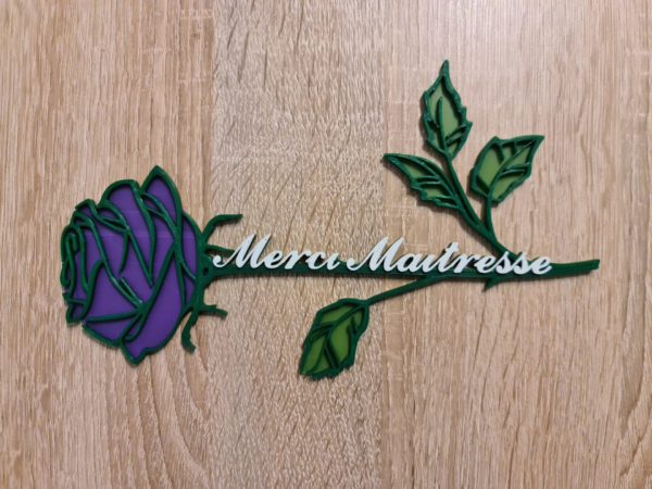 🌹 Merci Maitresse 20cm – Image 4